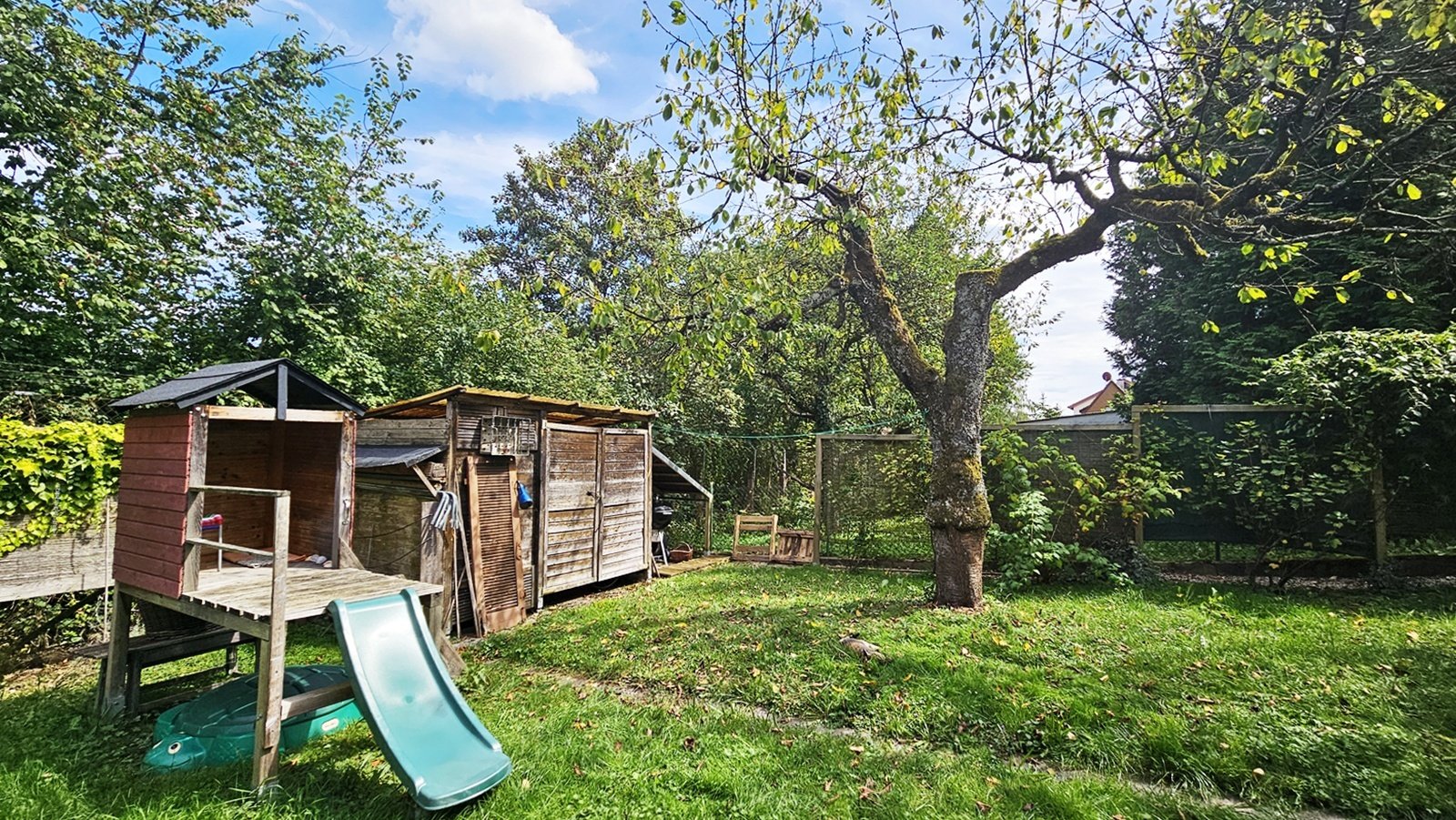 Garten mit Obstbäumen